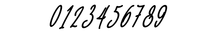 Baropetha Signature_Italic3 Font OTHER CHARS