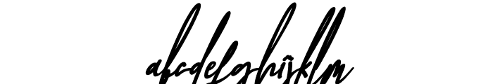 Baropetha Signature_Italic3 Font LOWERCASE