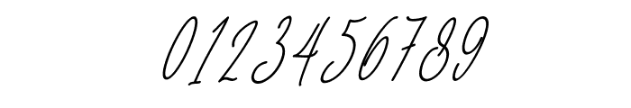 Baropetha Signature_Italic4 Font OTHER CHARS