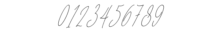 Baropetha Signature_Italic5 Font OTHER CHARS