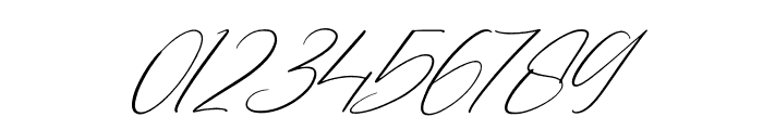 Barthwind Italic Font OTHER CHARS