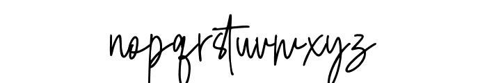 BassolineSignature-Regular Font LOWERCASE