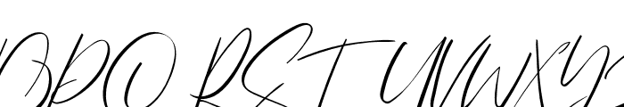 Bayleigh Signatures Font UPPERCASE