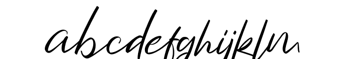 Bayleigh Signatures Font LOWERCASE