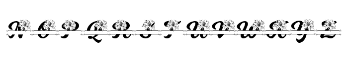 Beatrice Flower Font LOWERCASE