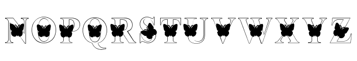 Beauty Butterfly Monogram Font UPPERCASE