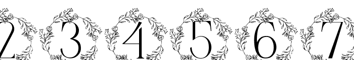 Beauty Flower Monogram Font OTHER CHARS