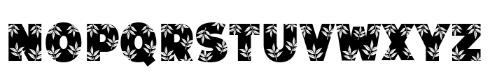 Beauty Leaves Font LOWERCASE