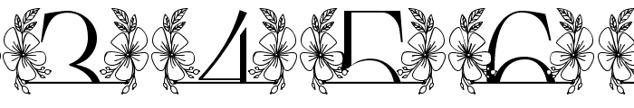 Beauty Magnolia Line Monogram Font OTHER CHARS
