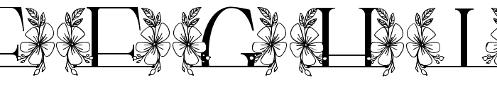 Beauty Magnolia Line Monogram Font UPPERCASE