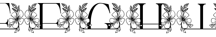 Beauty Magnolia Line Monogram Font LOWERCASE