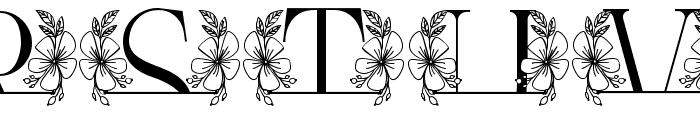 Beauty Magnolia Line Monogram Font LOWERCASE