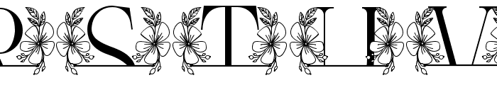 fontPreview
