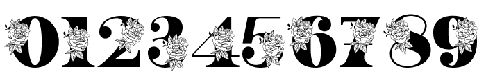 Beauty Rose Monogram Regular Font OTHER CHARS