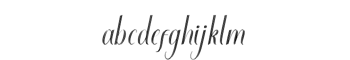 Belgalyn family Font LOWERCASE