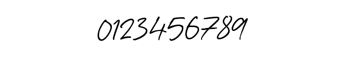 Bellany Signature Font OTHER CHARS