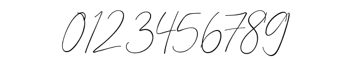 Benatia Signature Regular Font OTHER CHARS