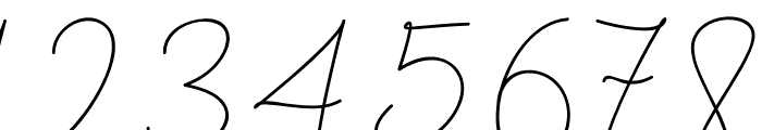 Bendungan Signature Font OTHER CHARS
