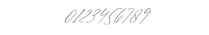 Berallopa Stinkross Italic Font OTHER CHARS