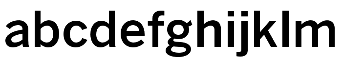 Bergman Sans Font LOWERCASE