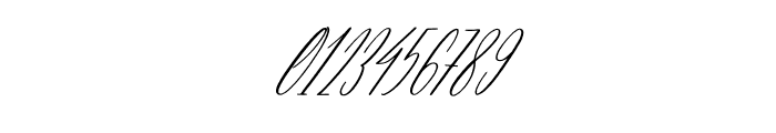 Berlanfi Sankisse Italic Font OTHER CHARS