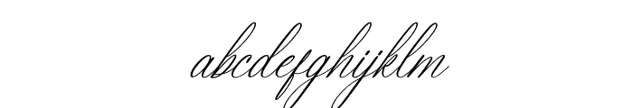 Berlanfi Sankisse Italic Font LOWERCASE