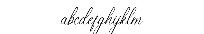 Berlanfi Sankisse Font LOWERCASE