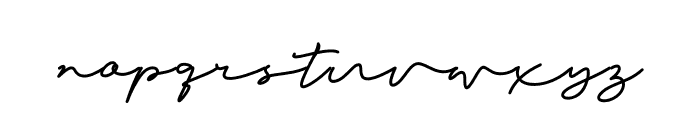 Berlin Signature Font LOWERCASE