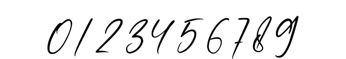 Berlione Signature Font OTHER CHARS
