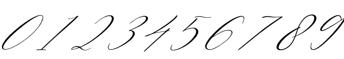 Berlishanty Calligraphy Italic Font OTHER CHARS