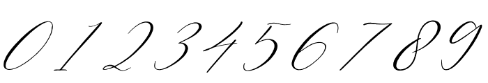 Berlishanty Calligraphy Font OTHER CHARS
