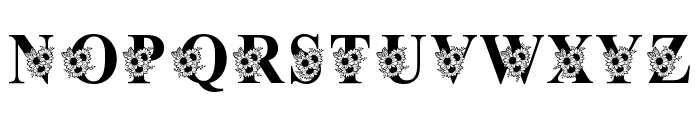 Bertha Flower Monogram Font LOWERCASE