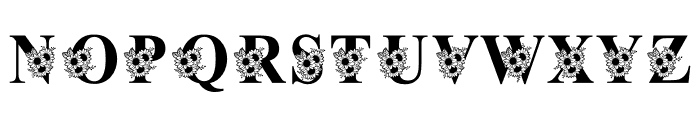 BerthaFlowerMonogram Font LOWERCASE