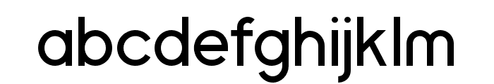 BerthaLight-Regular Font LOWERCASE