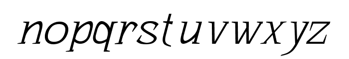 Bhattary Italic Thin Font LOWERCASE