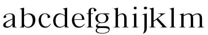 Bia Serif Low Light Expanded Font LOWERCASE