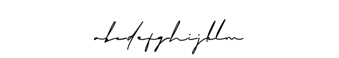 Bielsa Signature Font LOWERCASE
