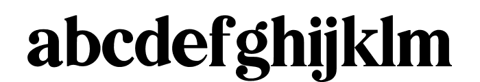 Bilingual Serif Font Regular Font LOWERCASE