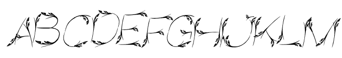 Bird Feather Italic Font UPPERCASE