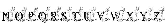 Bird Lily Flower Font LOWERCASE