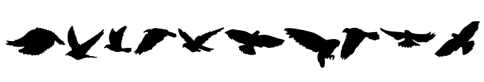 Bird shadow Font OTHER CHARS