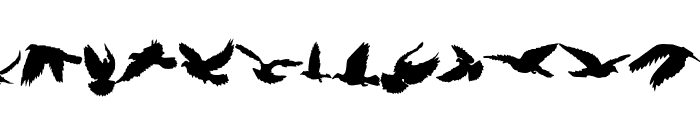 Bird shadow Font UPPERCASE