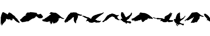 Bird shadow Font UPPERCASE