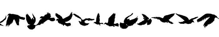 Bird shadow Font LOWERCASE