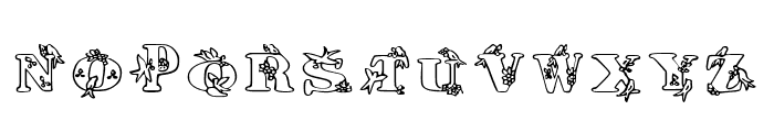 Birds And Grapes Regular Font LOWERCASE