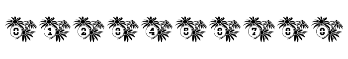 BlackEyedSusan Mono Split Font OTHER CHARS