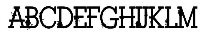 Blessed Cherished CF Font LOWERCASE