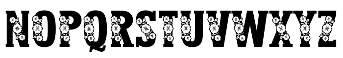 Blossom For You Font LOWERCASE
