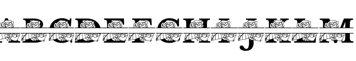 Blossom MNGRM Split Font LOWERCASE