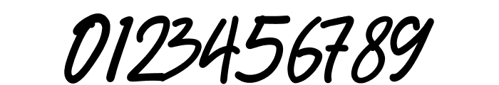Blossom Signature Font OTHER CHARS